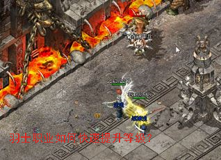 羽士职业如何快速提升等级? 羽士职业如何快速提升等级?