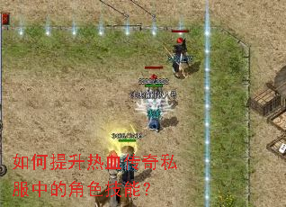 ���������Ѫ����˽���еĽ�ɫ���ܣ�