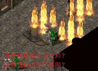 传奇私服新手选法师?这些优缺点你了解吗? 传奇私服新手选法师?这些优缺点你了解吗?