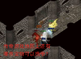 ������Ϸ��ͼ�ϻ�����Щ�������Я����