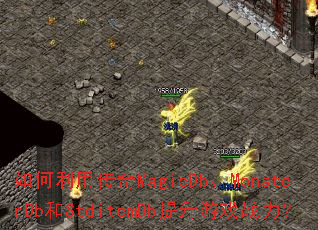 ������ô���MagicDb��MonsterDb��StditemDb������Ϸս����