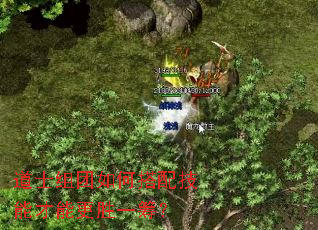 道士组团如何搭配技能才能更胜一筹? 道士组团如何搭配技能才能更胜一筹?