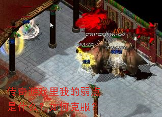 ������Ϸ���ҵ�������ʲô����ο˷���