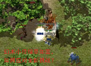 ����С���̲��������Ӧ��ȫ����ս��