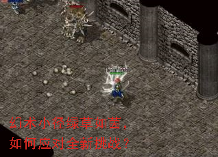 ����С���̲��������Ӧ��ȫ����ս��