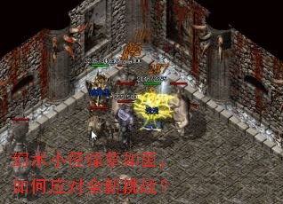 ����С���̲��������Ӧ��ȫ����ս��