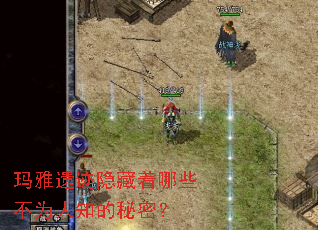 �����ż���������Щ��Ϊ��֪�����ܣ�