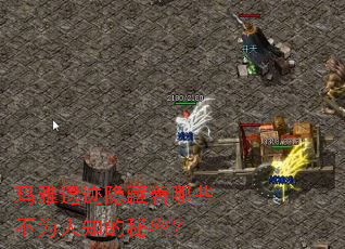 �����ż���������Щ��Ϊ��֪�����ܣ�