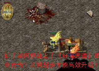 ������ο������֡������������ְҵ���棿�Ӻ��𲽲��ܸ�Ч������