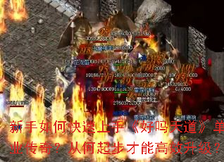 ������ο������֡������������ְҵ���棿�Ӻ��𲽲��ܸ�Ч������