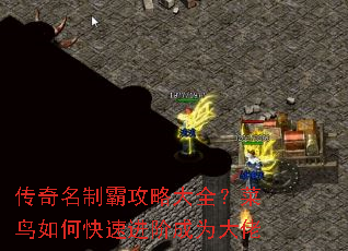 �������ưԹ��Դ�ȫ��������ο��ٽ��׳�Ϊ����