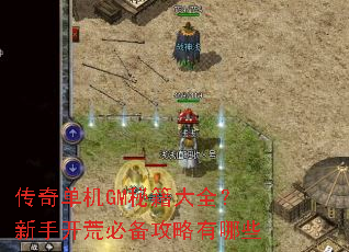 ���浥��GM�ؼ���ȫ�����ֿ��ıر���������Щ