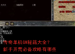 ���浥��GM�ؼ���ȫ�����ֿ��ıر���������Щ