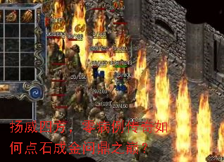 �����ķ����㲡��������ε�ʯ�ɽ��ʶ�֮�ۣ�