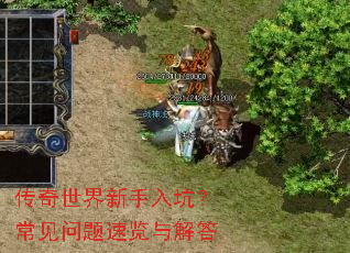 传奇世界新手入坑?常见问题速览与解答 传奇世界新手入坑?常见问题速览与解答