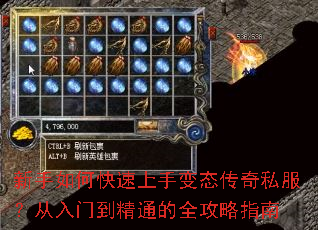 ������ο������ֱ�̬����˽���������ŵ���ͨ��ȫ����ָ��