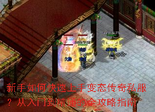 ������ο������ֱ�̬����˽���������ŵ���ͨ��ȫ����ָ��