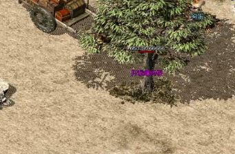 ϻʿ40֮ǰ