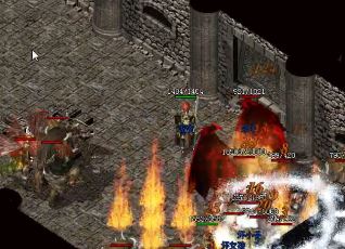 1.80ӢۺϻòŵĶ԰̯