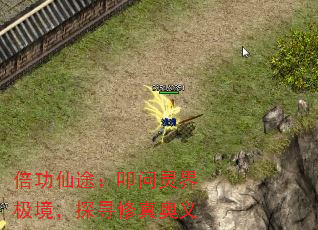 ;ߵ缫̽Ѱ
