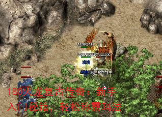 180Ŵ棺ؼɳư귨