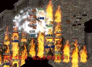 콣ƷѰ