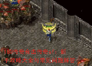 180ϻsfֹԴȫ볣