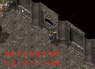 ְҵʧ˽ָ