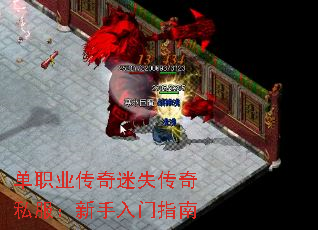 ְҵʧ˽ָ