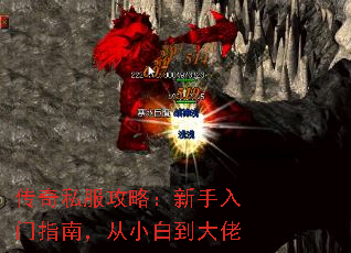 ˽ԣָϣС׵