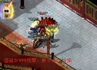 սSF999棺ָ