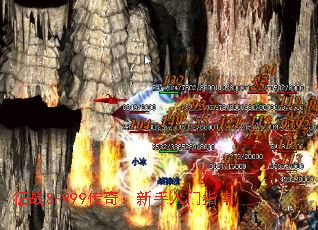 սSF999棺ָ