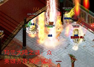 귨½֮գӢ۽;