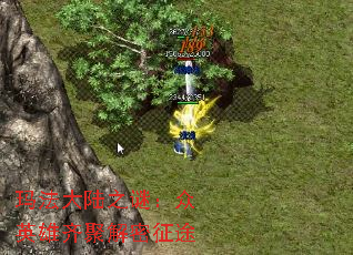 귨½֮գӢ۽;