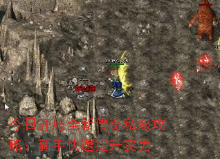տȫ´˽ԣֿʵ