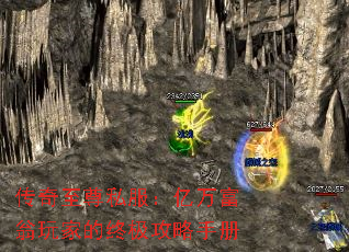 ˽ҵռֲ