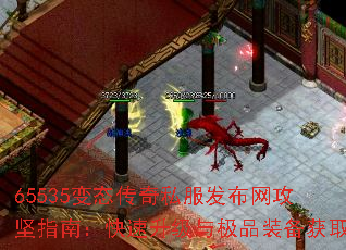 65535̬˽ָϣ뼫Ʒװȡ