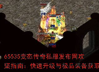 65535̬˽ָϣ뼫Ʒװȡ