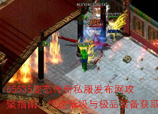 65535̬˽ָϣ뼫Ʒװȡ