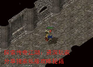 ̽潭ҷ˽ؼ