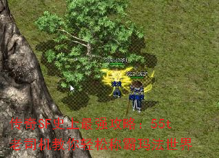 SFʷǿԣ55t˾ɳư귨