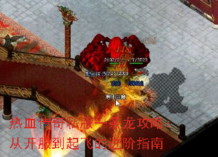 Ѫ˽һԣӿɵĽָ