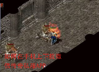 ֻ΢Ŵ˽APP