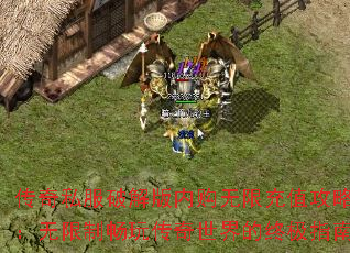 ˽ƽڹ޳ֵԣƳ洫ռָ