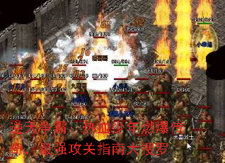 ԣѪȼ棬ǿָϴ