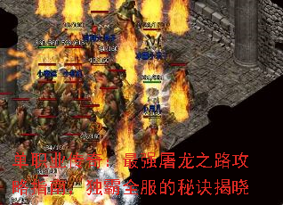 ְҵ棺ǿ֮·ָϣȫؾ