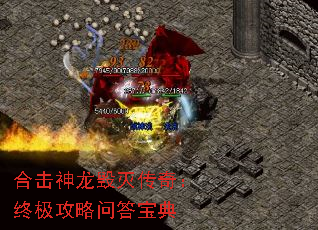 ϻ棺ռʴ𱦵