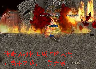 ˽ɰ湥Դȫ֮·һ