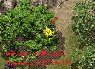 ˽ѰؼررĹ