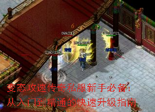 ̬ٴ˽ֱرŵͨĿָ